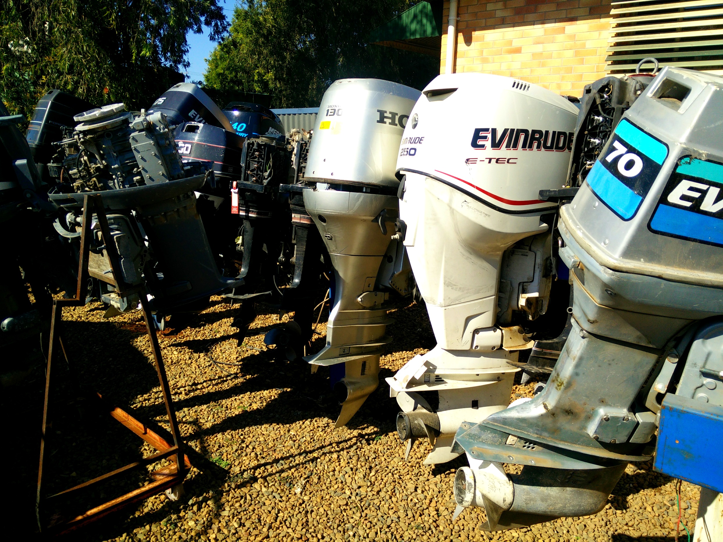 A row of used outboards standing outside the yard, including Evinrude, Honda, Suzuki and Mercury